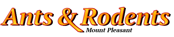 Mount Pleasant Ant Exterminator & Rodent Control Company Logo